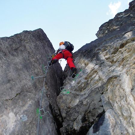 Alpengasthof Enzianhof ツェル・アム・ツィラー エクステリア 写真